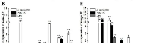 尼罗罗非鱼IL-6受体(IL-6R)和糖蛋白130(Gp130)的分子功能研究