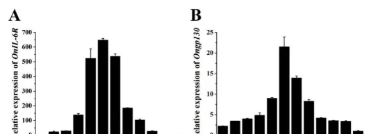 尼罗罗非鱼IL-6受体(IL-6R)和糖蛋白130(Gp130)的分子功能研究