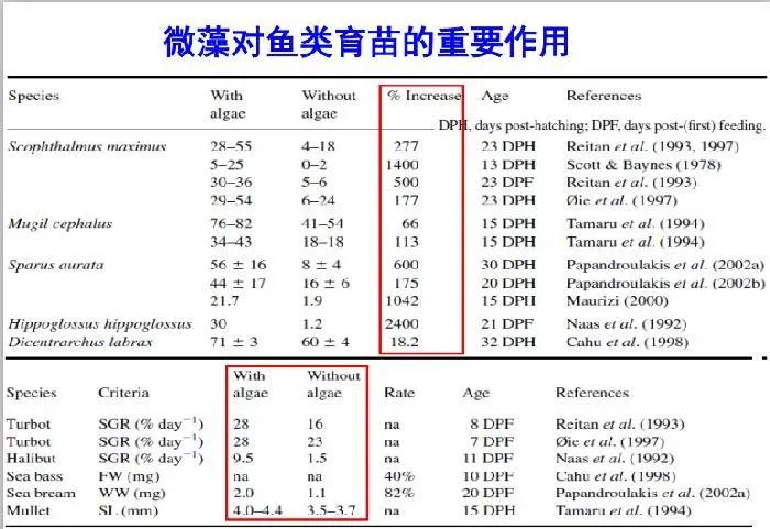 微藻在水产养殖和特种饲料中的应用