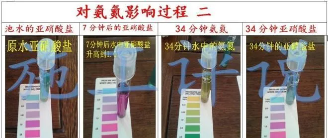 对于微生物（菌）在水产养殖中应用可能有一点创新