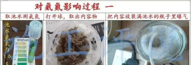 对于微生物（菌）在水产养殖中应用可能有一点创新