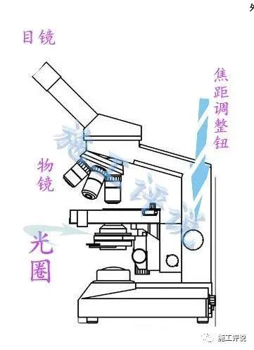 水产养殖生产中如何应用显微镜