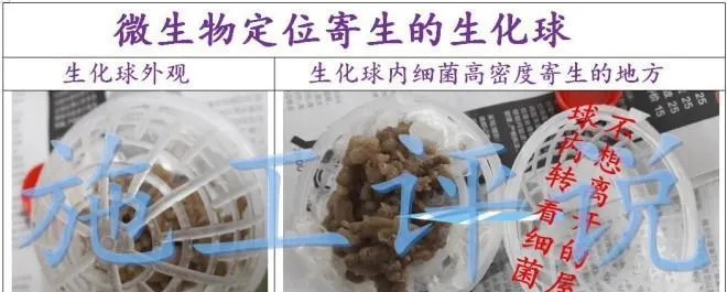 对于微生物（菌）在水产养殖中应用可能有一点创新