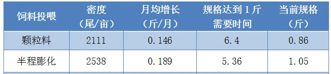 提高密度，引入膨化料，湖北仙桃鳊鱼产量翻一番