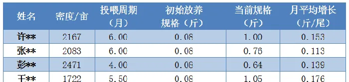 提高密度，引入膨化料，湖北仙桃鳊鱼产量翻一番