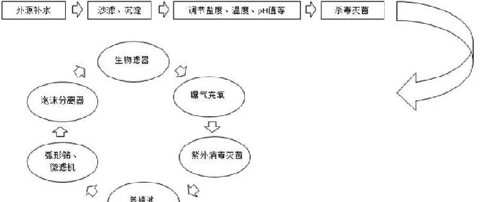 海水工厂化及循环水养殖关键技术