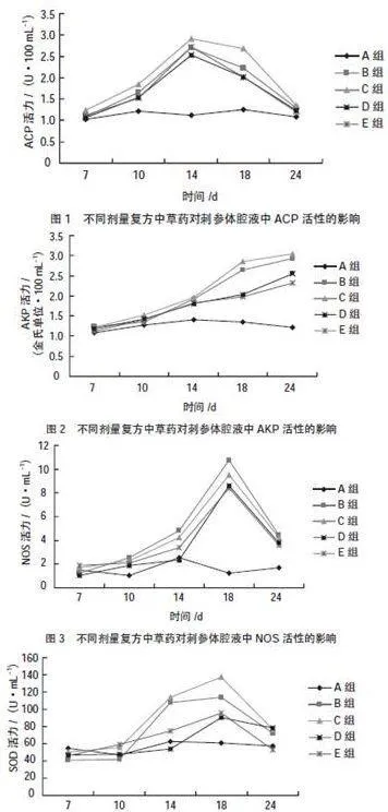 饲料中添加复方中草药对刺参免疫的影响