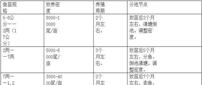 石斑鱼放苗：鱼苗培育的技术要点（土塘和高位池）