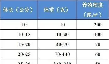 养殖户如何确定半滑舌鳎的合理养殖密度