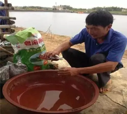 土塘养殖南美白对虾，选用粤海土塘专用白虾料最合适