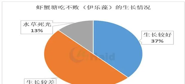 高温天你在家吹空调，小龙虾河蟹要去哪里凉快呢？