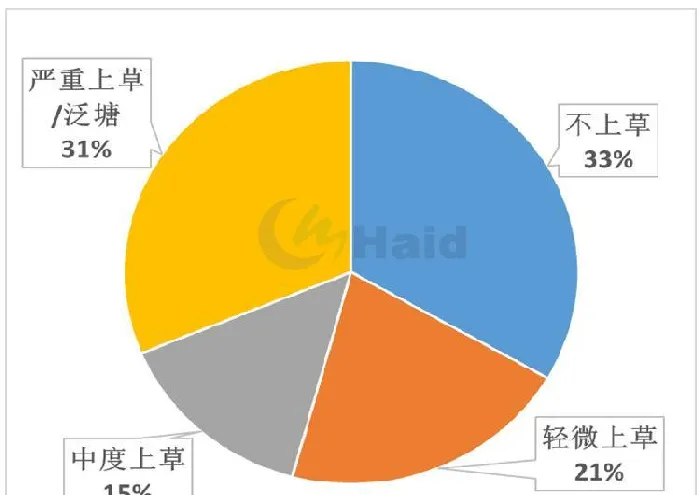 高温天你在家吹空调，小龙虾河蟹要去哪里凉快呢？