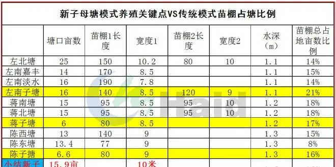 模式为王：子母塘罗氏沼虾养殖的关键点究竟在哪里？