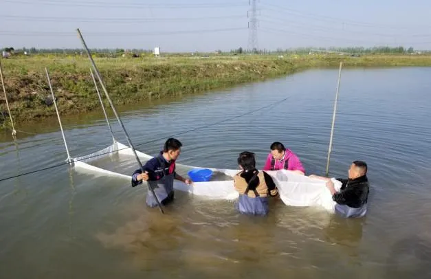 实战派：这些水花下塘技术你都掌握了吗