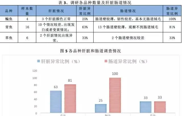 鱼苗价格飙升，鱼体健康堪忧，保苗内服刻不容缓