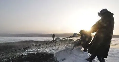 养鱼户怎样根据池水结冰状态，防止鱼病的发生