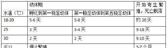 淡水鱼养殖过程中锚头鳋的防治方法