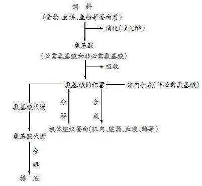 养了这么多年虾，一直认为虾料蛋白含量越高越好，原来这是一个误区！