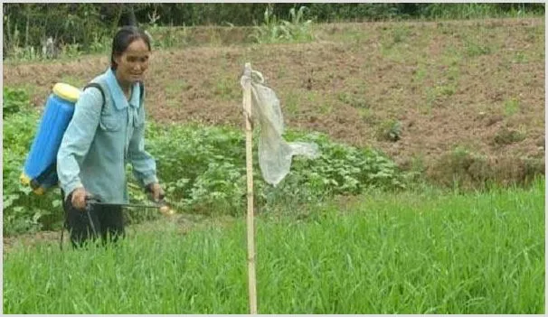 除草剂混用有哪些好处?混用时需要注意什么? | 农业技术