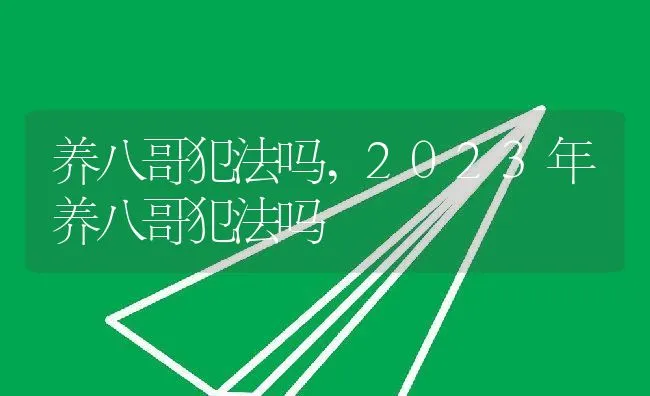 养八哥犯法吗,2023年养八哥犯法吗