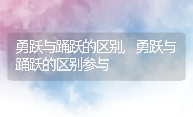 勇跃与踊跃的区别,勇跃与踊跃的区别参与