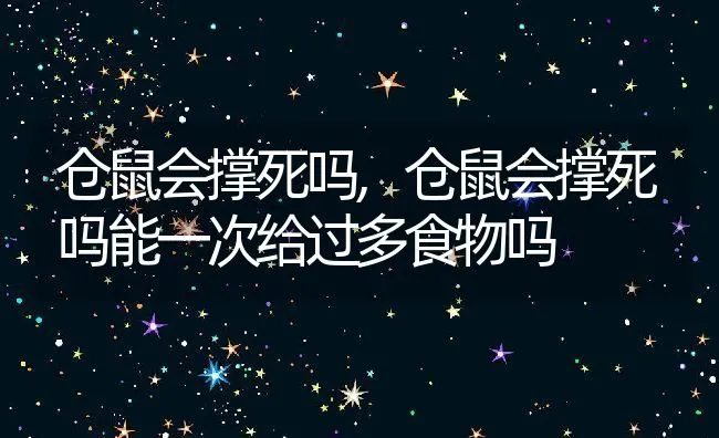 仓鼠会撑死吗,仓鼠会撑死吗能一次给过多食物吗