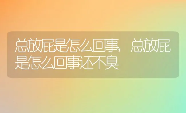 总放屁是怎么回事,总放屁是怎么回事还不臭