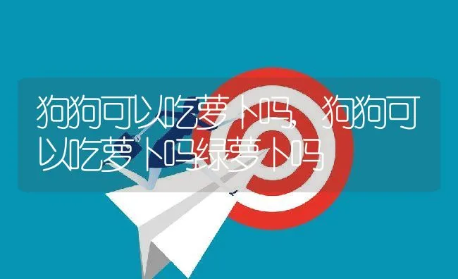 狗狗可以吃萝卜吗,狗狗可以吃萝卜吗绿萝卜吗