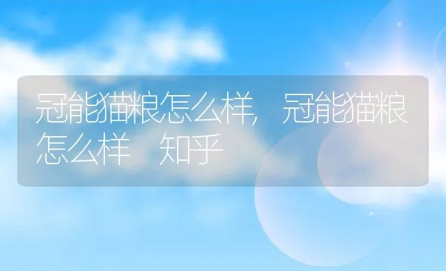 冠能猫粮怎么样,冠能猫粮怎么样 知乎