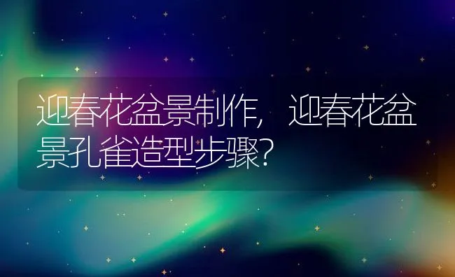 一般怀孕几个月生,一般怀孕几个月生小孩