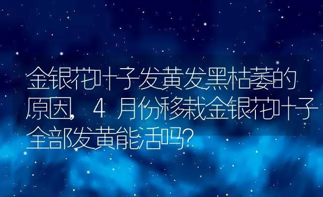 金银花叶子发黄发黑枯萎的原因,4月份移栽金银花叶子全部发黄能活吗？