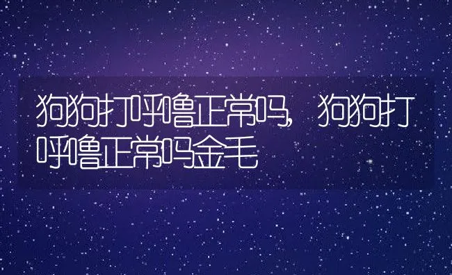 狗狗打呼噜正常吗,狗狗打呼噜正常吗金毛