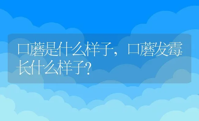 针叶天蓝绣球可以家养吗,紫色的小花是什么，叶子细细的？