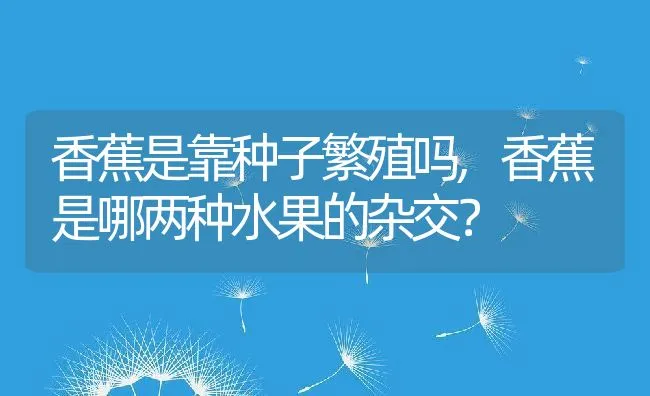 香蕉是靠种子繁殖吗,香蕉是哪两种水果的杂交？