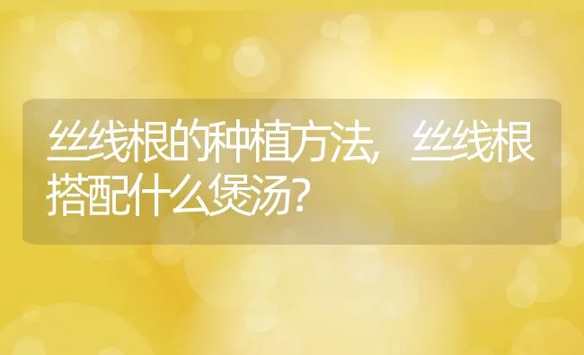 丝线根的种植方法,丝线根搭配什么煲汤？