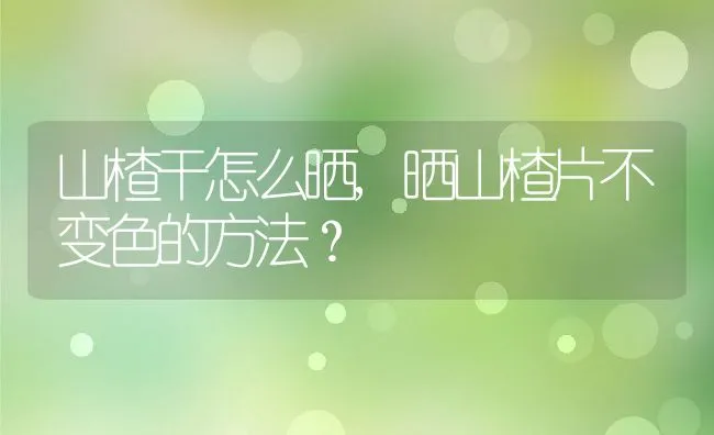 山楂干怎么晒,晒山楂片不变色的方法？