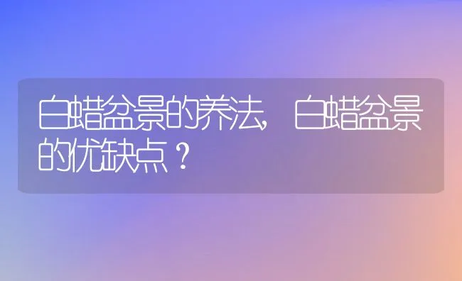 白蜡盆景的养法,白蜡盆景的优缺点？