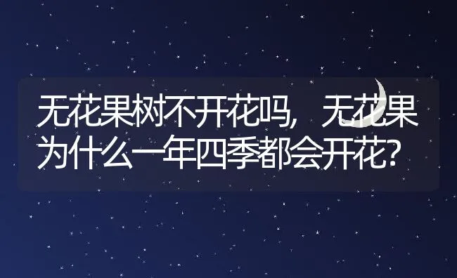 无花果树不开花吗,无花果为什么一年四季都会开花？