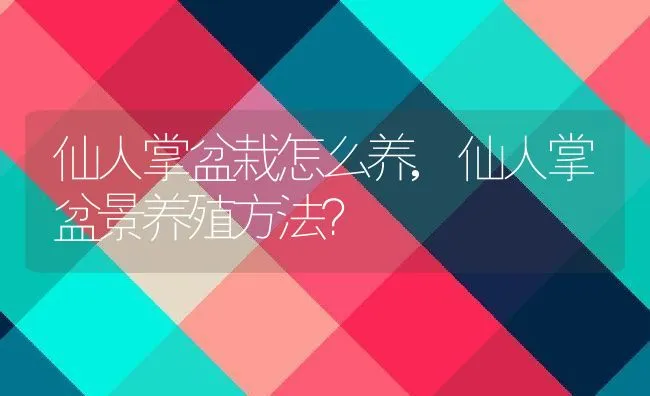 仙人掌盆栽怎么养,仙人掌盆景养殖方法？