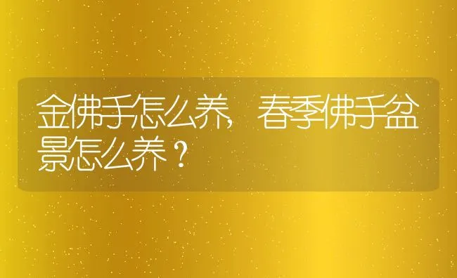 金佛手怎么养,春季佛手盆景怎么养？