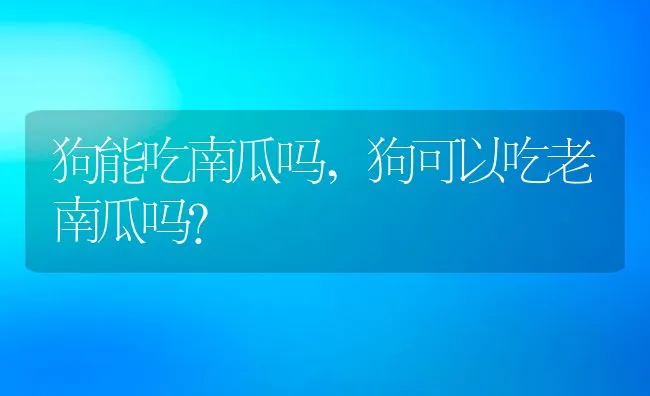 狗能吃南瓜吗,狗可以吃老南瓜吗？