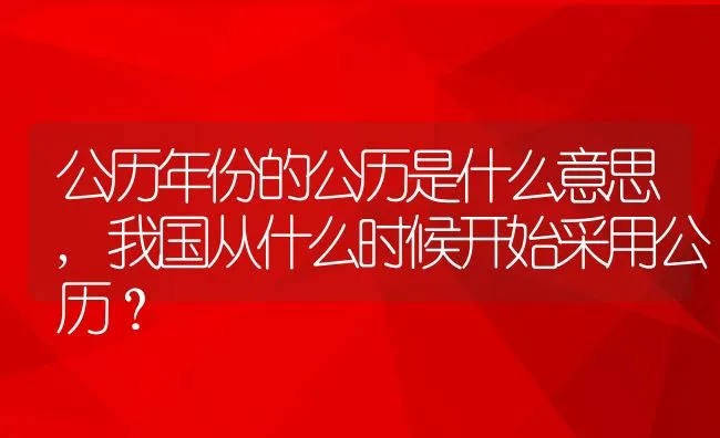 公历年份的公历是什么意思,我国从什么时候开始采用公历？