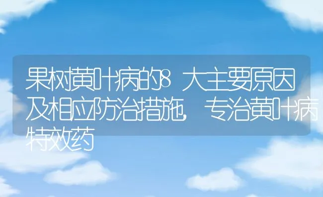 果树黄叶病的8大主要原因及相应防治措施,专治黄叶病特效药