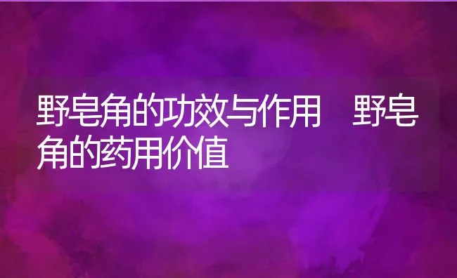 野皂角的功效与作用 野皂角的药用价值